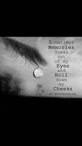 1713dd31513dfb2d4aeef5e03f03aaf1