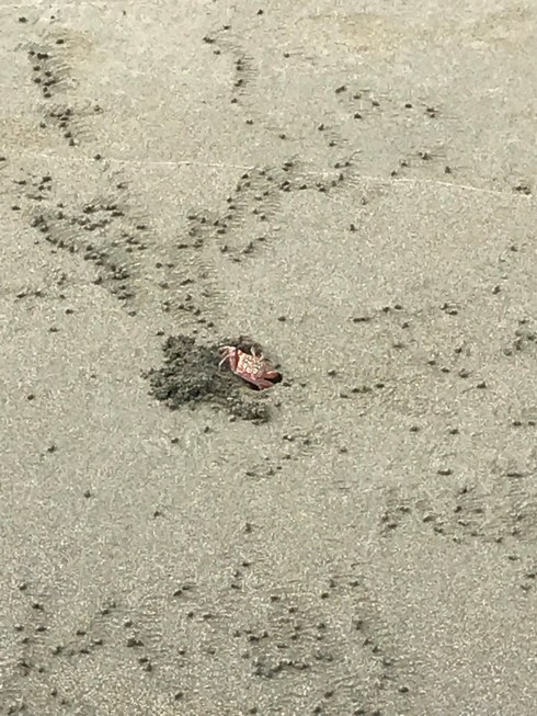 2BAE0D90-0AED-4540-A128-F92F645C2902