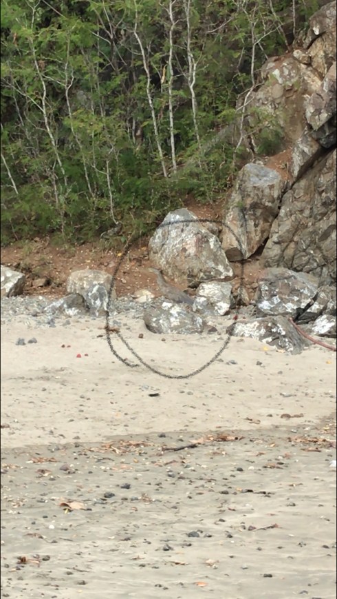 86EDD462-A2B9-46FD-AC31-9186D69FF035